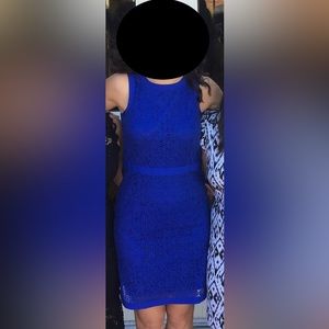 Ann Taylor Sleeveless Lace Dress